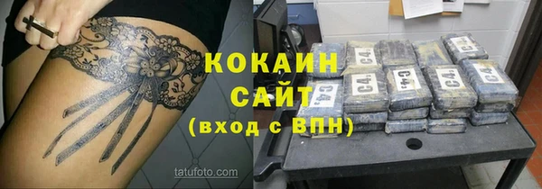 твердый Нягань