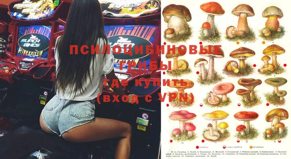 твердый Нягань