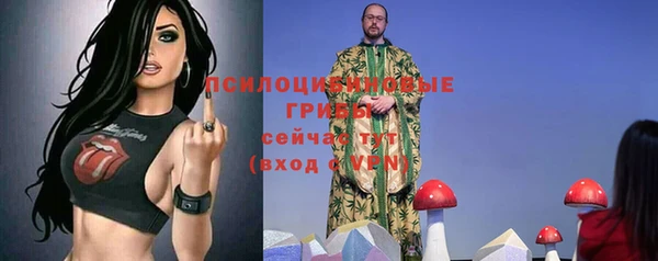 твердый Нягань