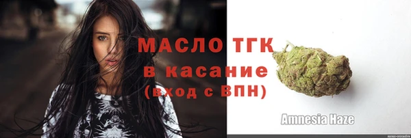 мяу мяу кристалл Няндома