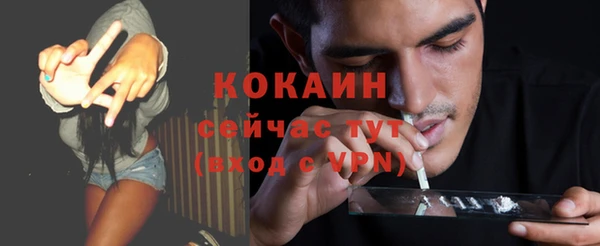 мяу мяу кристалл Няндома