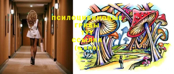 твердый Нягань